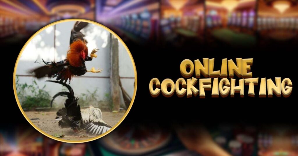 Online cockfighting