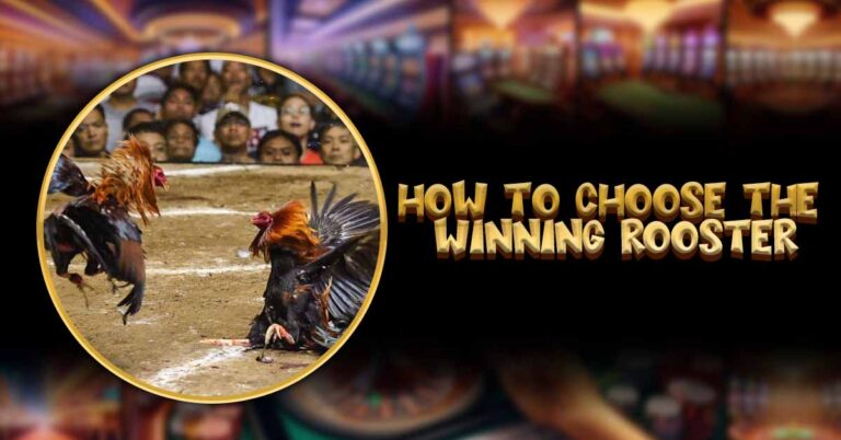 how to choose the winning rooster